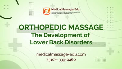 Orthopedic Massage - The Development of Lower Back Disorders